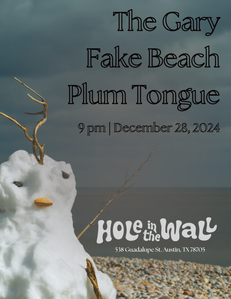 Fake Beach Show Poster 12/28/24